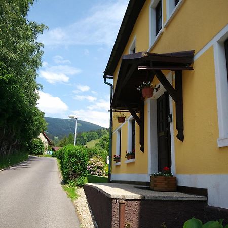 Apartmany Ilona Rokytnice nad Jizerou Exterior foto